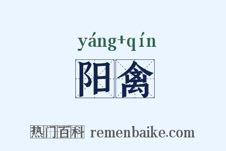 阳禽是什么意思的图片
